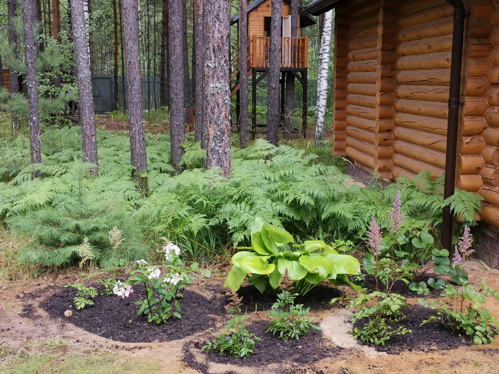 Лесная сказка Марий Эл. Сад в стиле Naturgarden