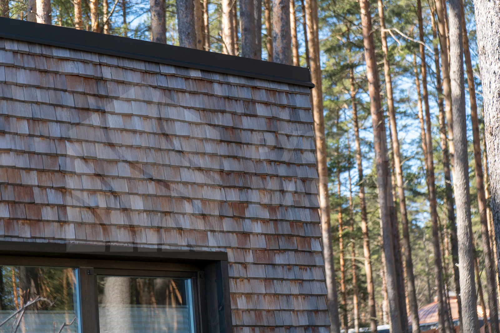 Одноэтажный дом в современном стиле с уютной сауной