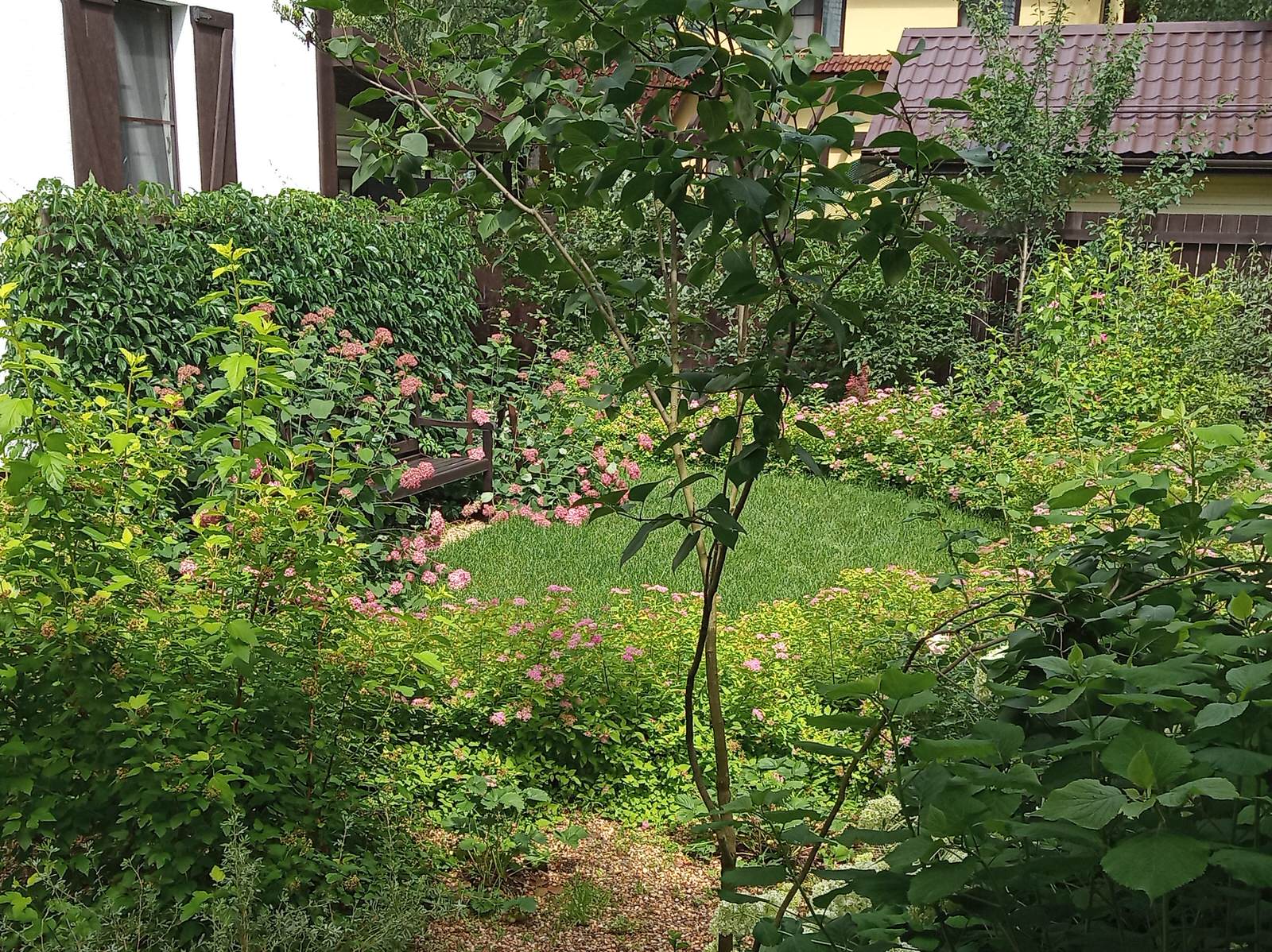 Сад в Рожновке