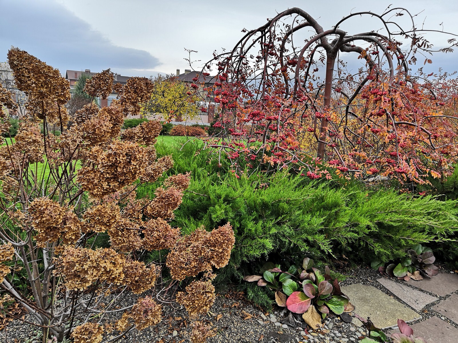 Сад на двух ярусах