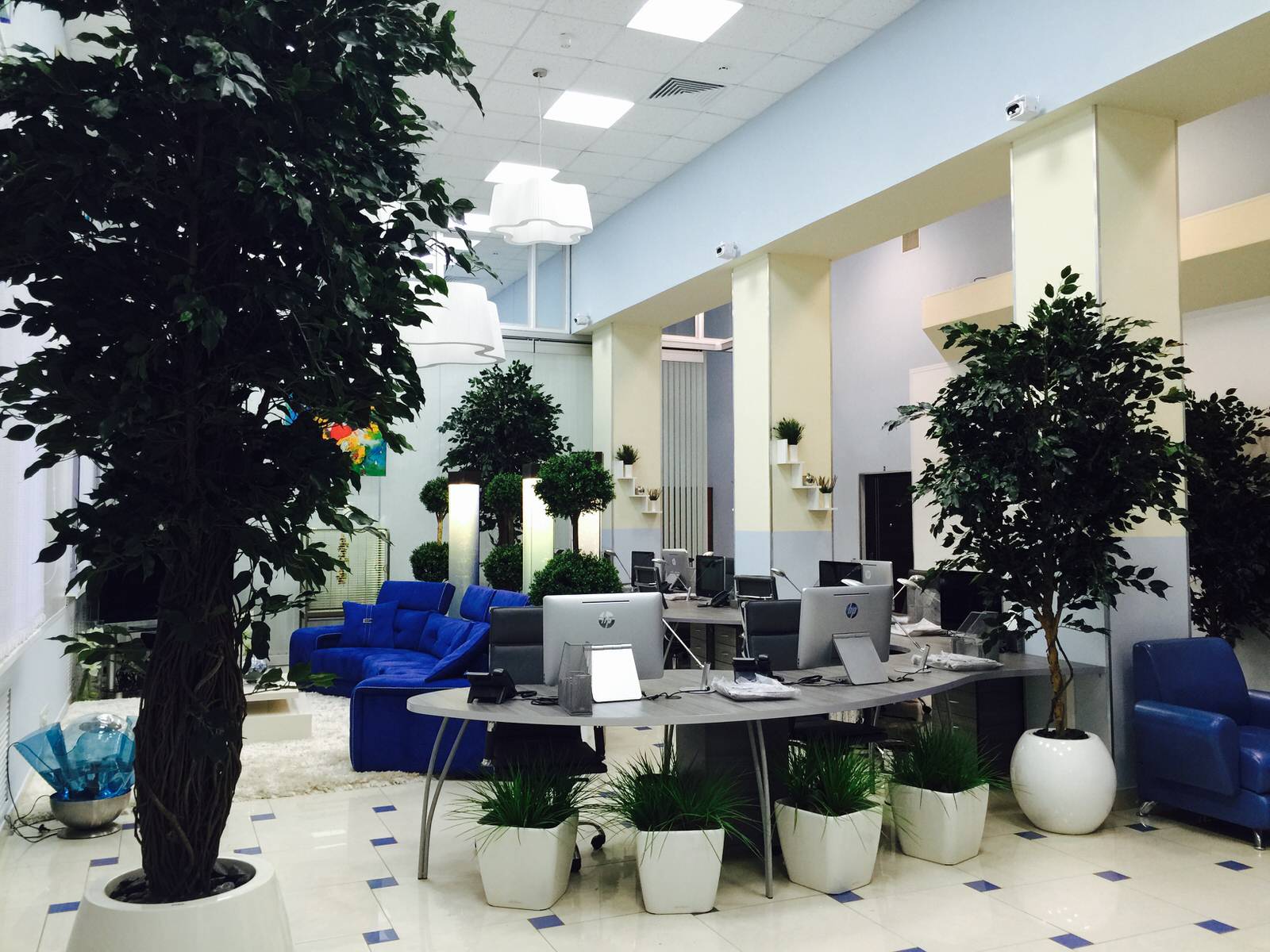 Офис с деревьями