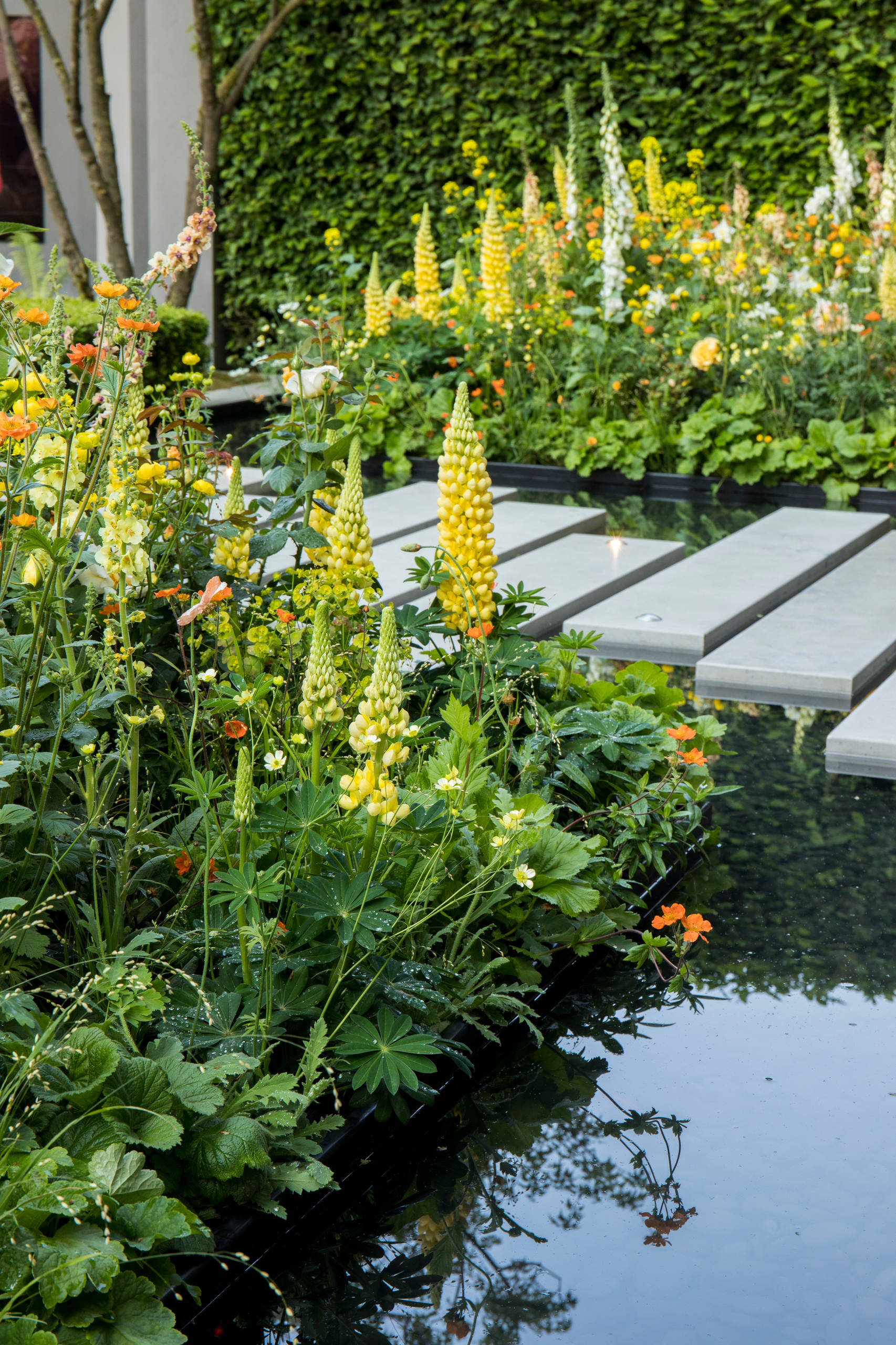 Уроки Chelsea Flower Show: Модные растения 2018 года