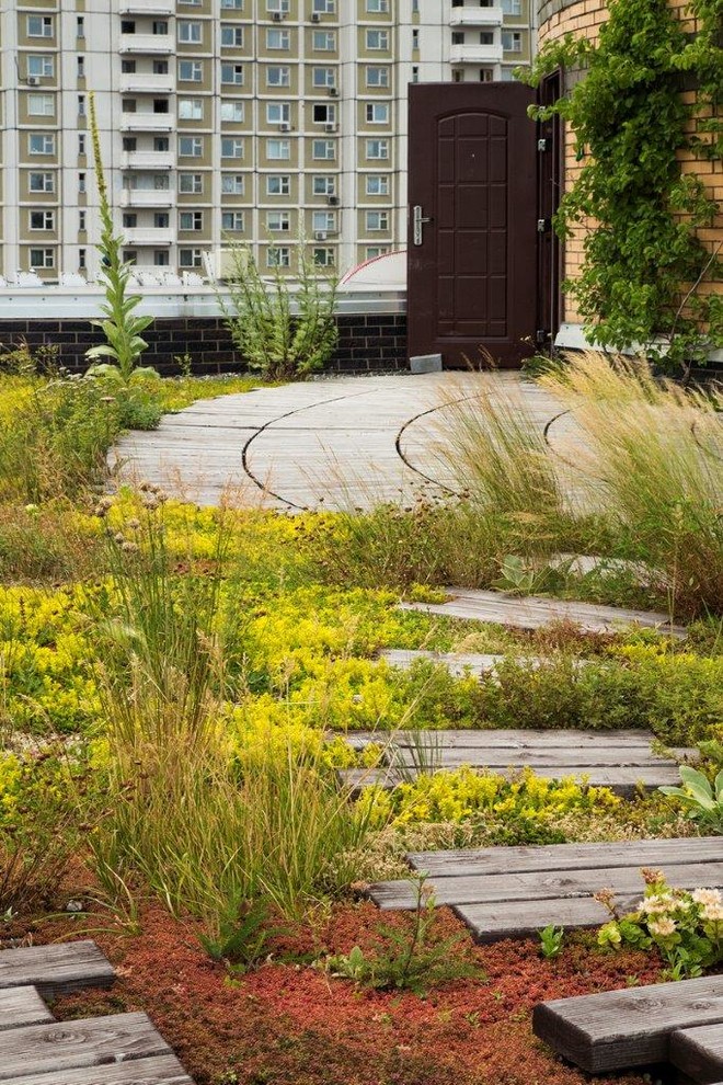 Сад на крыше