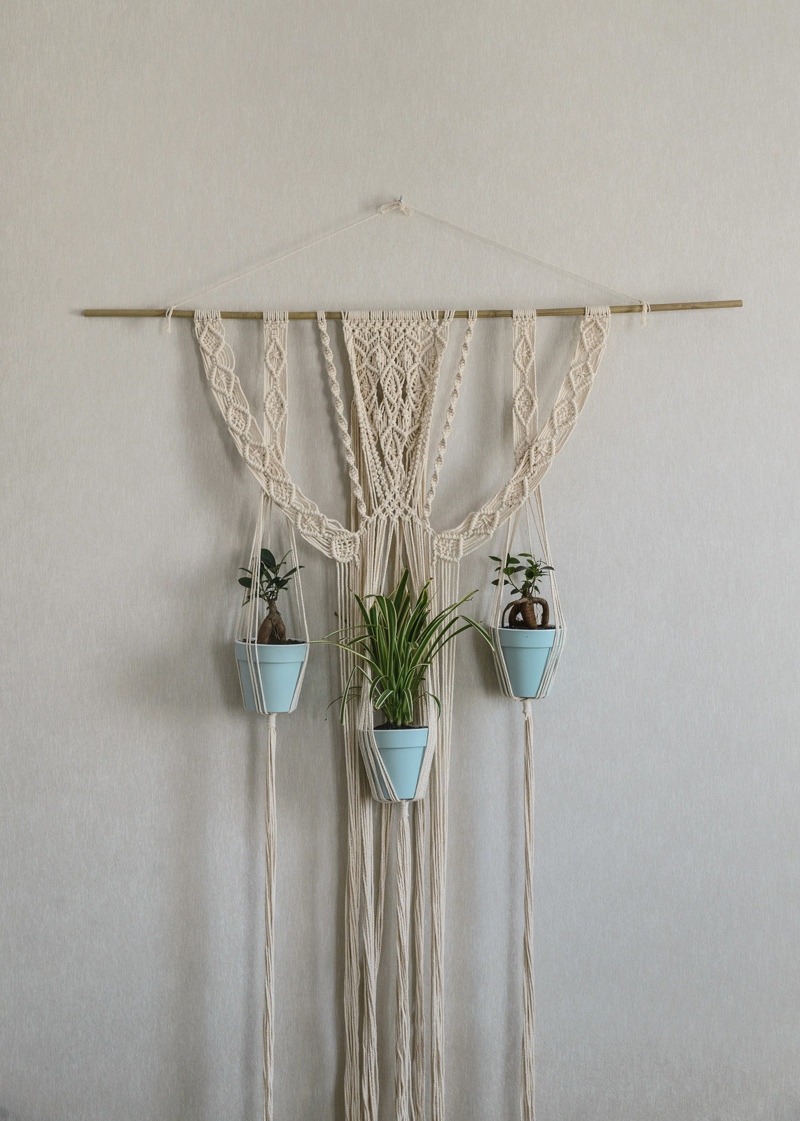 Озеленение квартиры