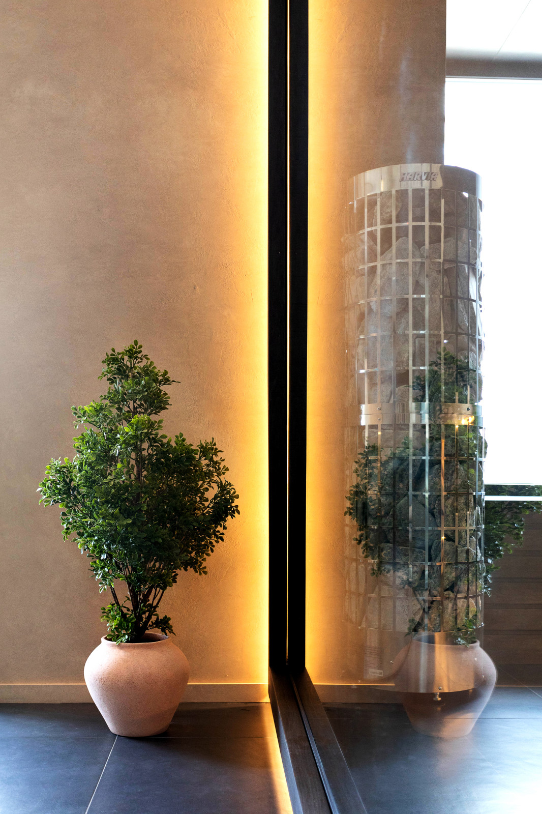 Из грязи в князи