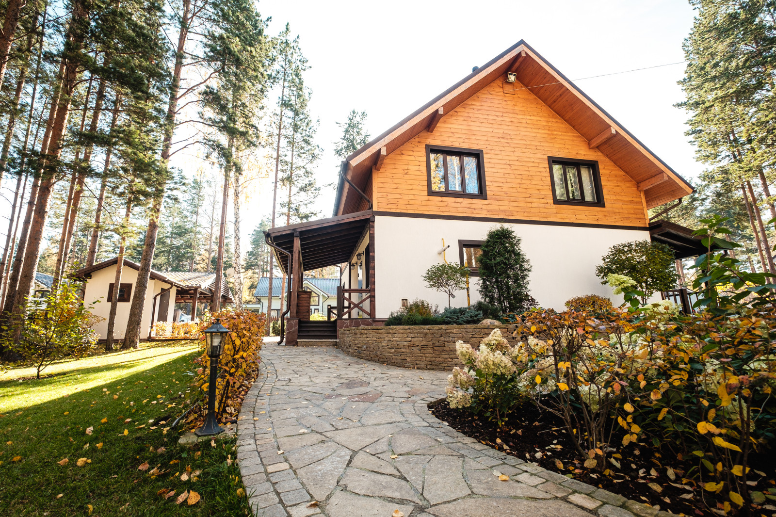 У леса на опушке