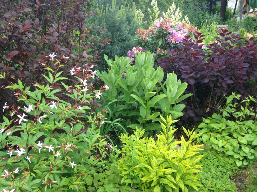 Сад на песках