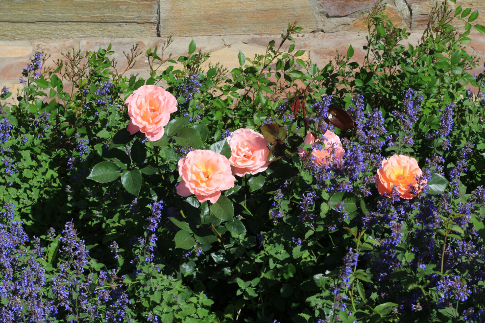 Сад для двоих