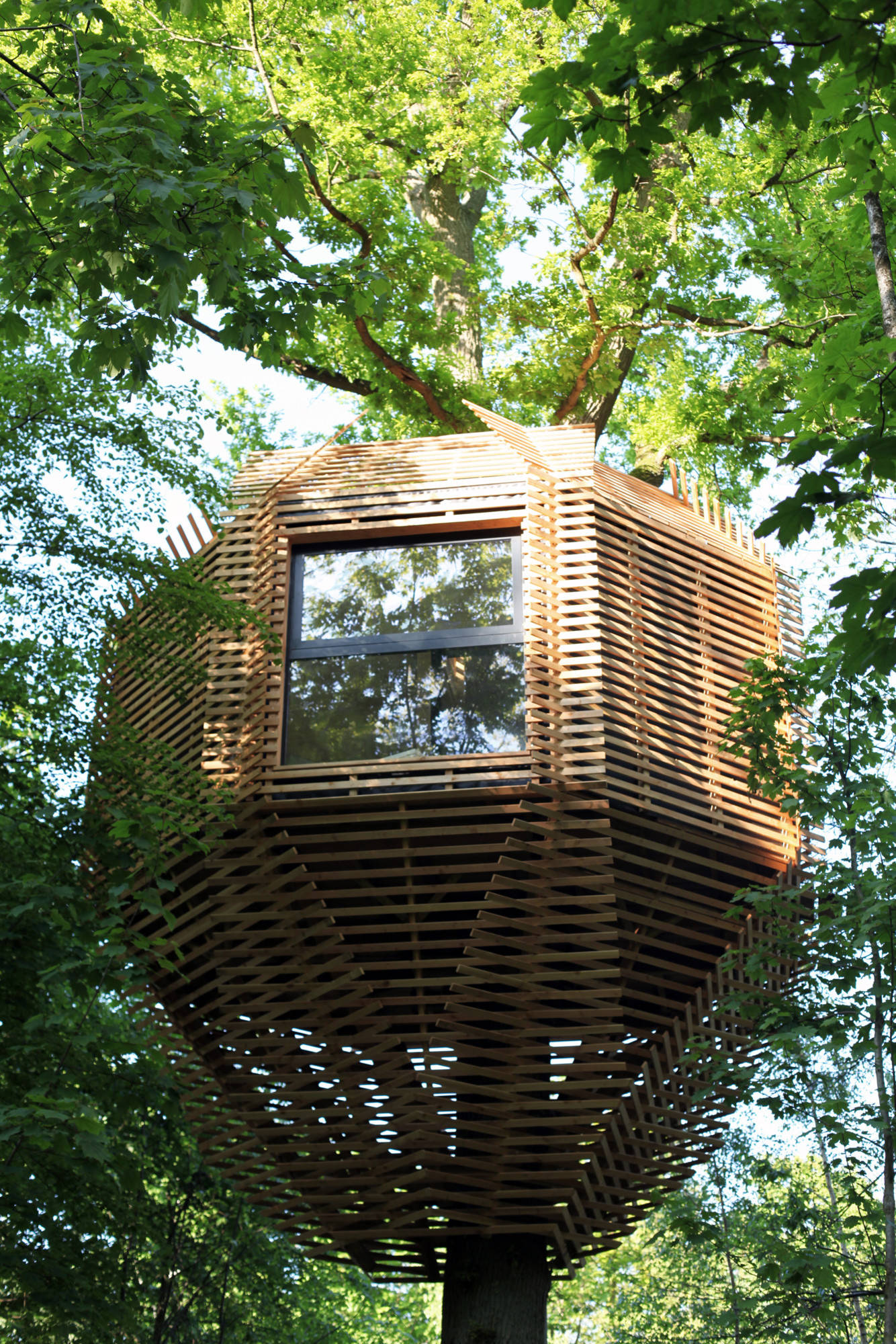 Houzz Франция: Дом на дереве с полноценным санузлом (!)