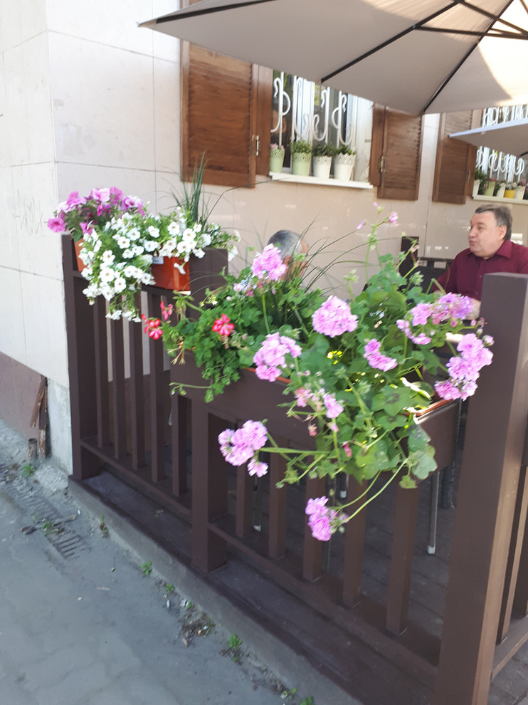 Контейнерное озеленение