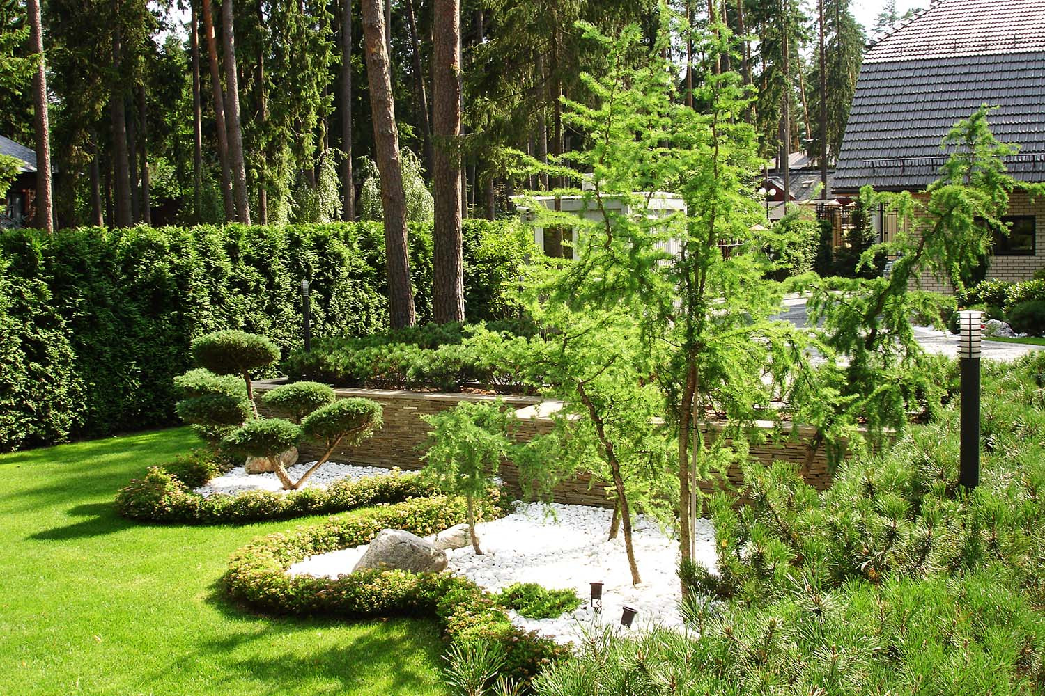 Сад с водоемом в КП " Сосновый Бор"