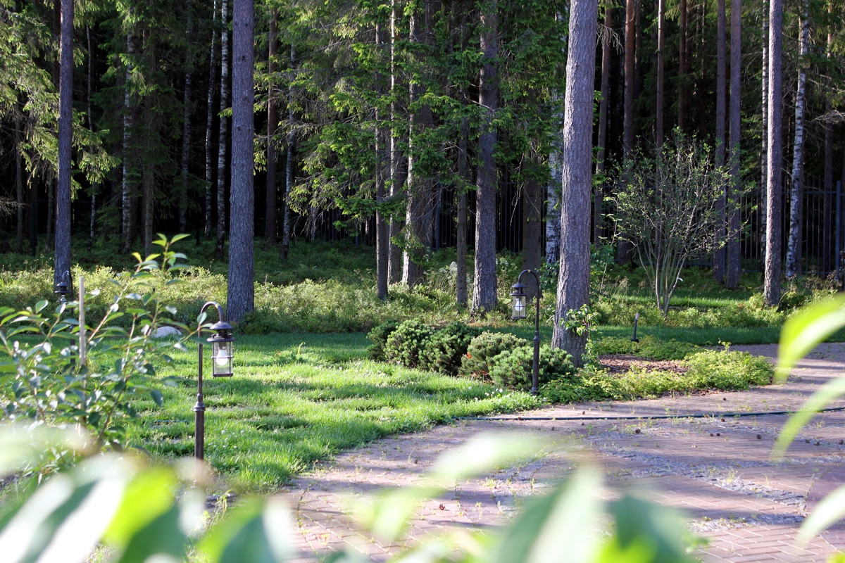 Особый статус