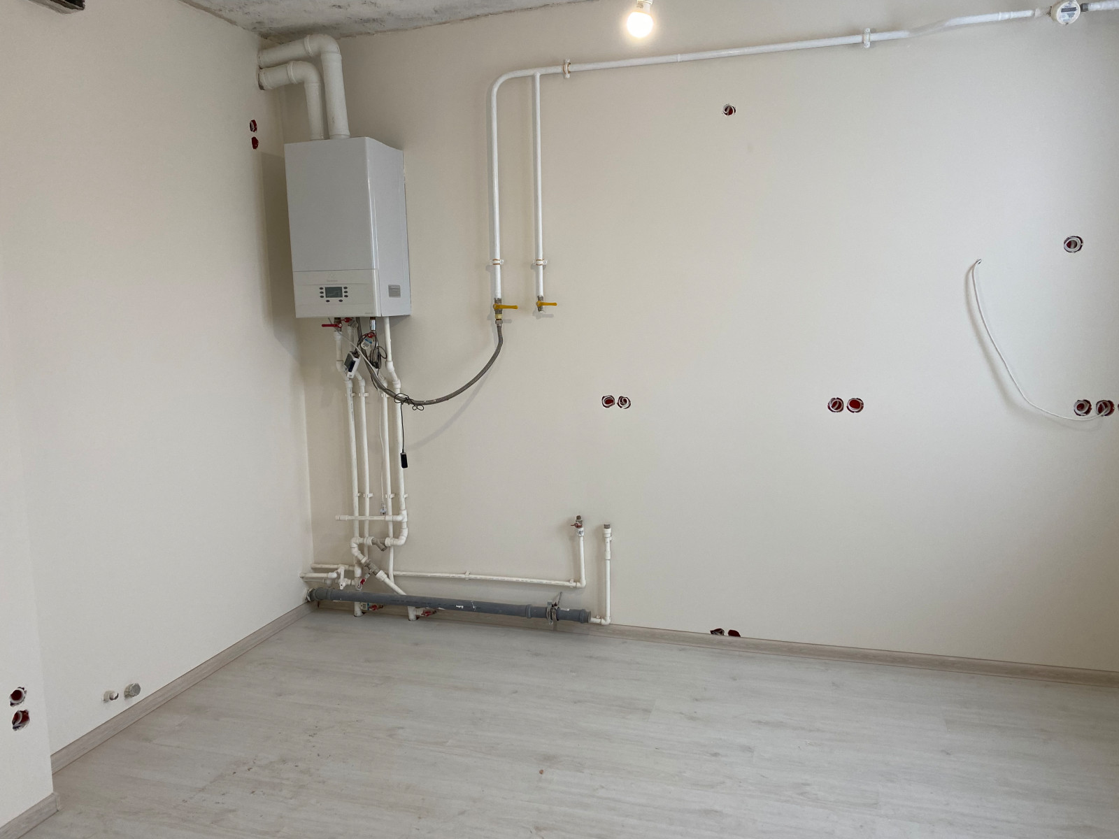 Анастасия Зеленская