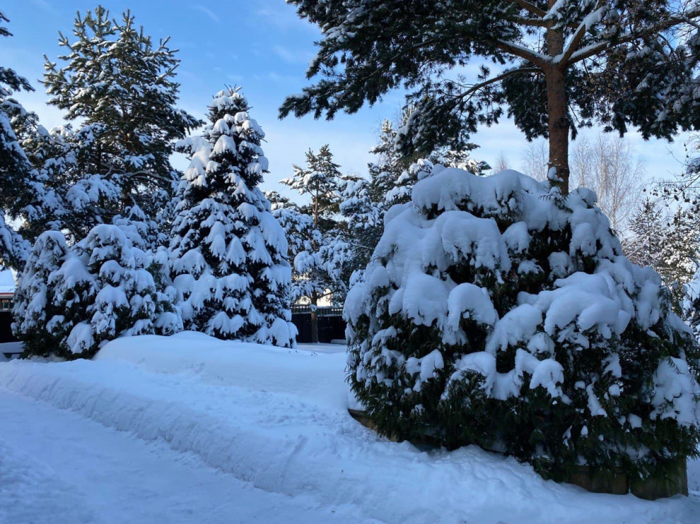 Круглое Озеро. Участок в стиле Кантри.