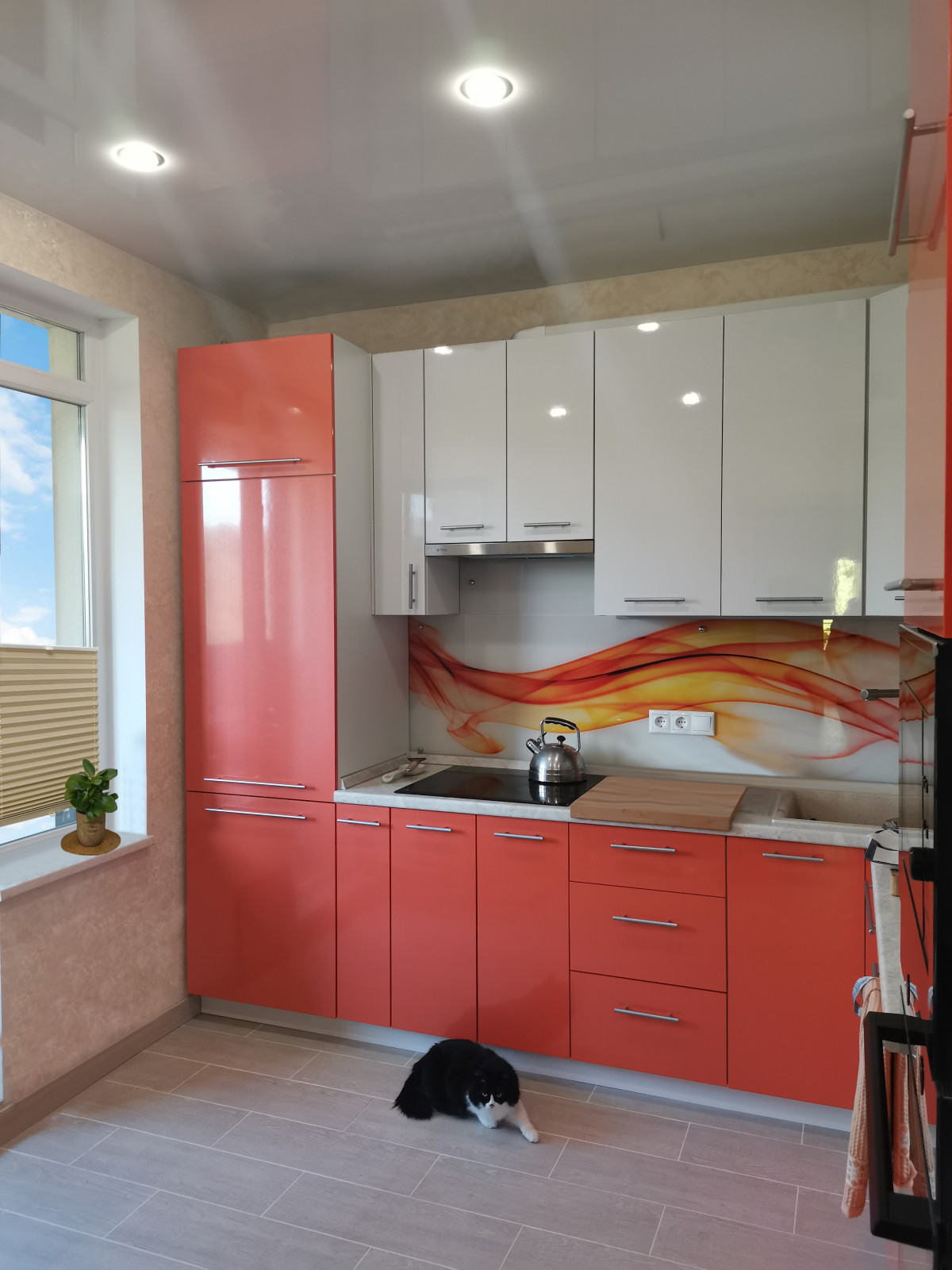 Обложка проекта: Мой проект