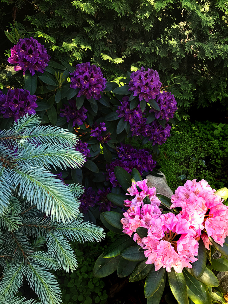 КП Княжье Озеро, 0,16 га