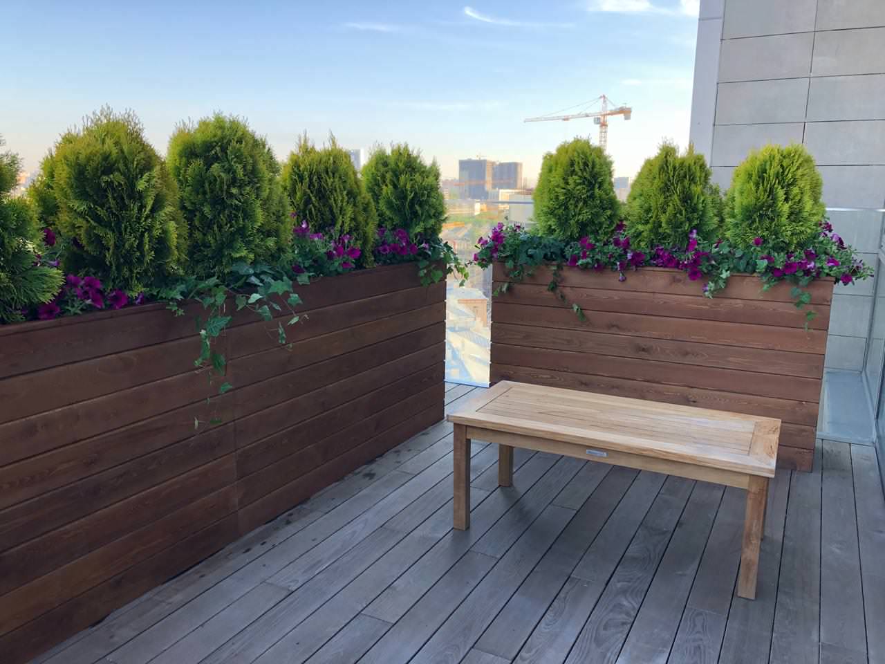 Обложка проекта: Малые формы