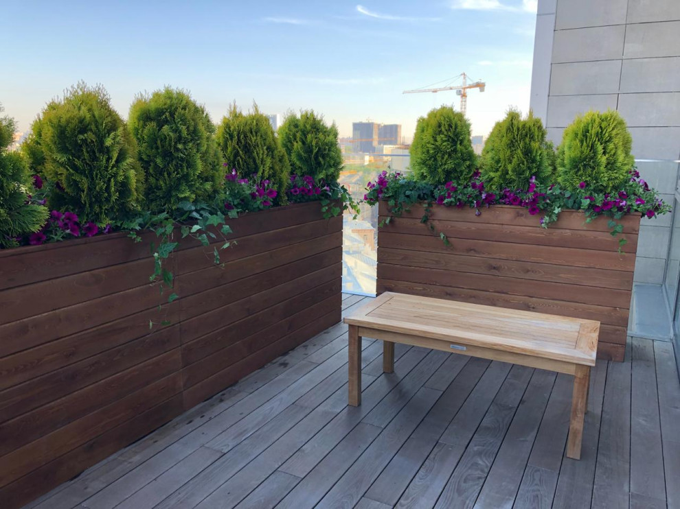 Обложка проекта: Малые формы