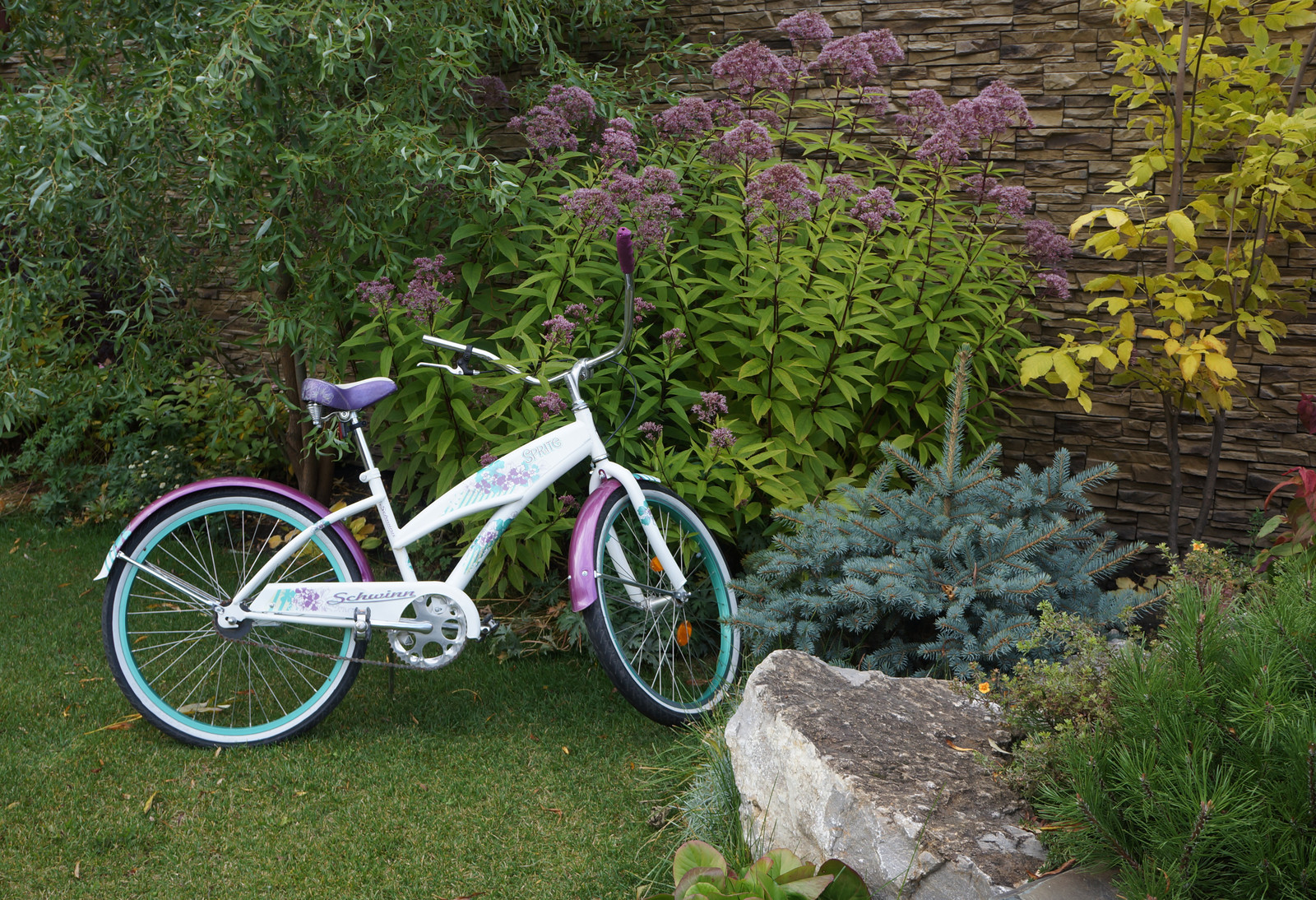 Ясная  поляна