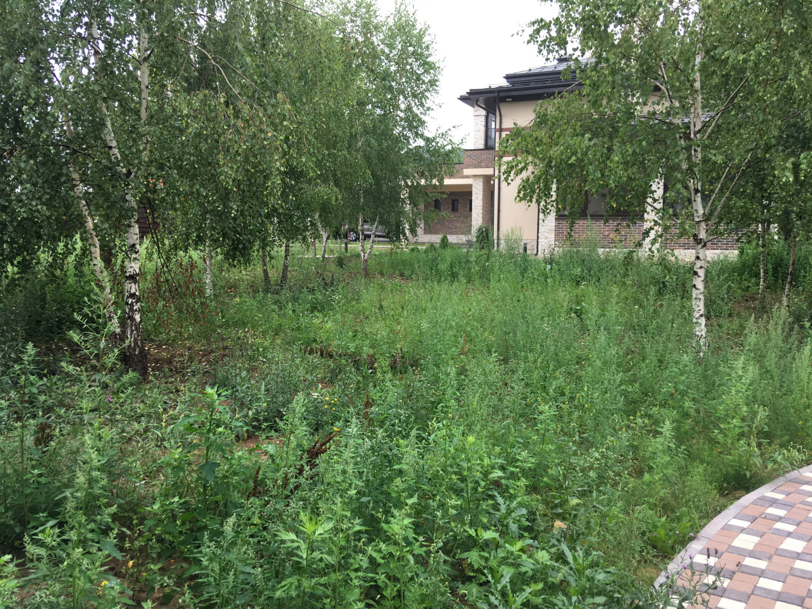 Озеленение под ключ объекта Заказчика