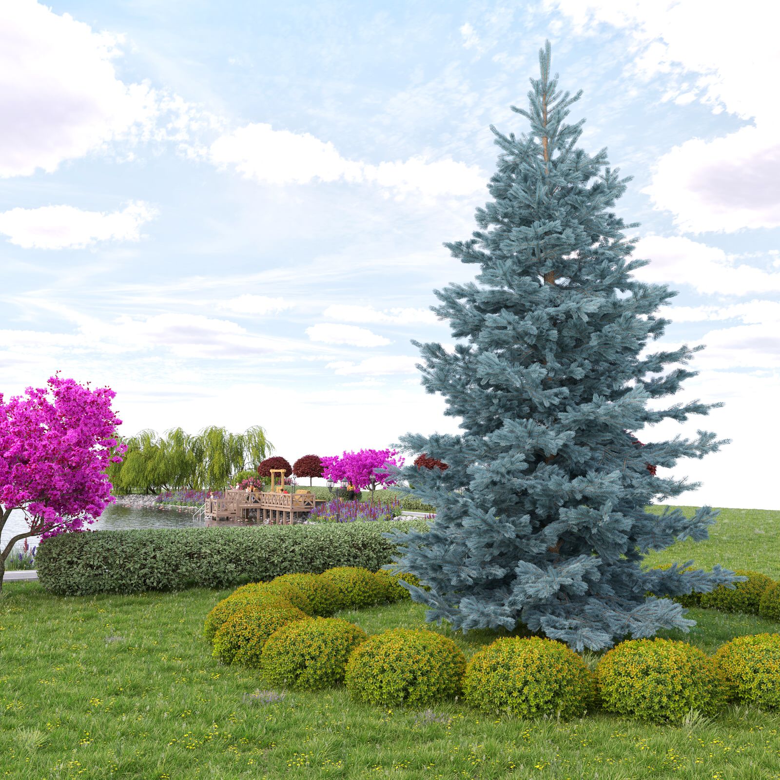 Красивый ландшафт пруда