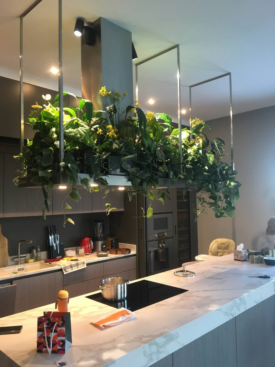 Обложка проекта: Озеленение квартиры МОСФИЛЬМОВСКАЯ