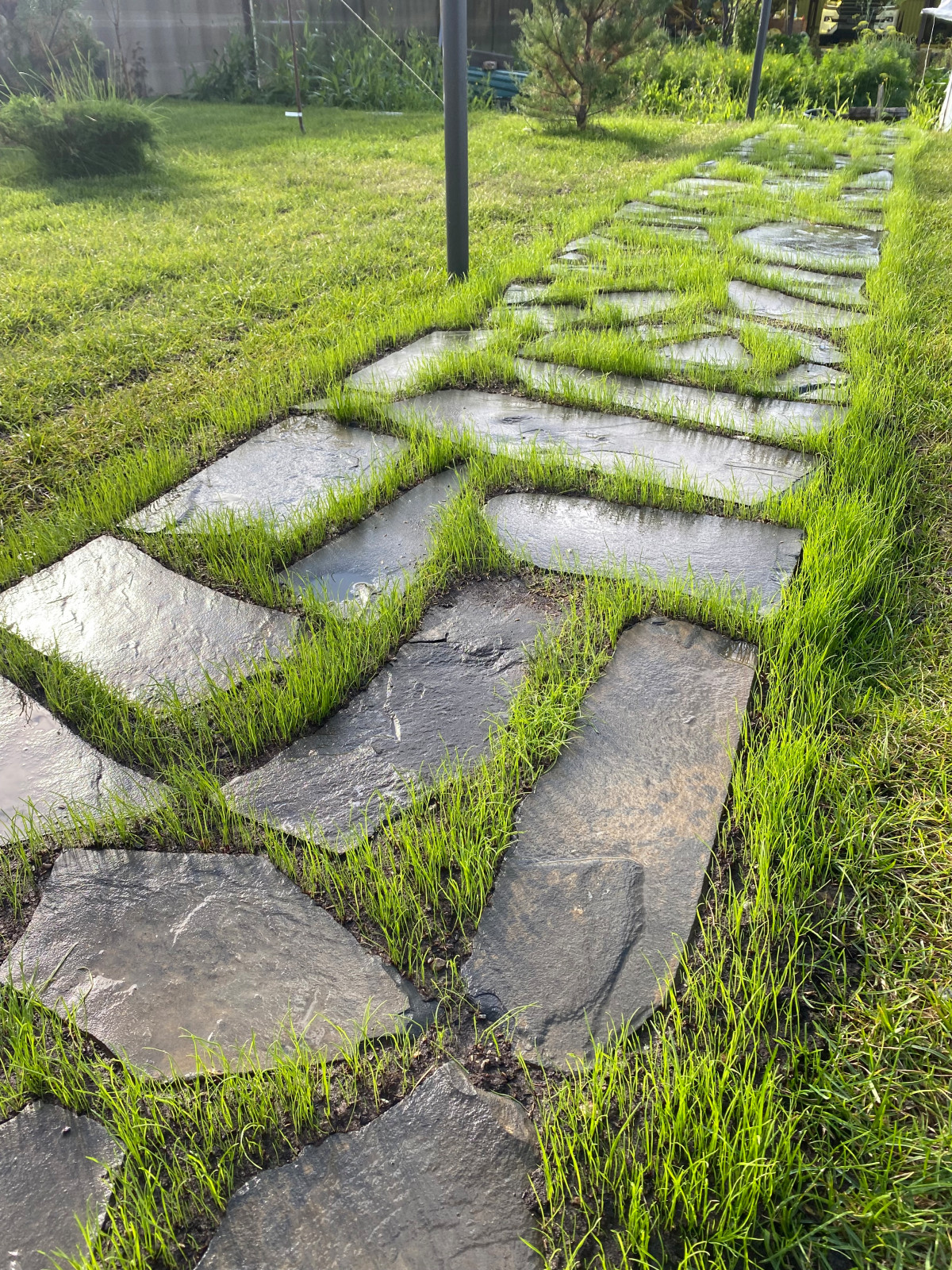 Проекты и благоустройство объектов