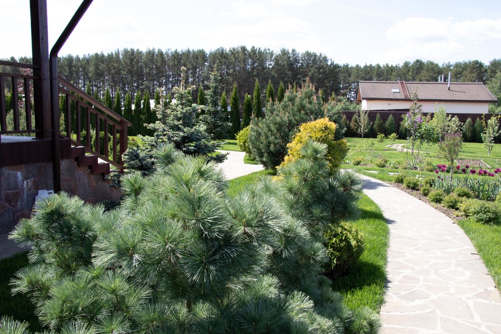 Сосновые берега