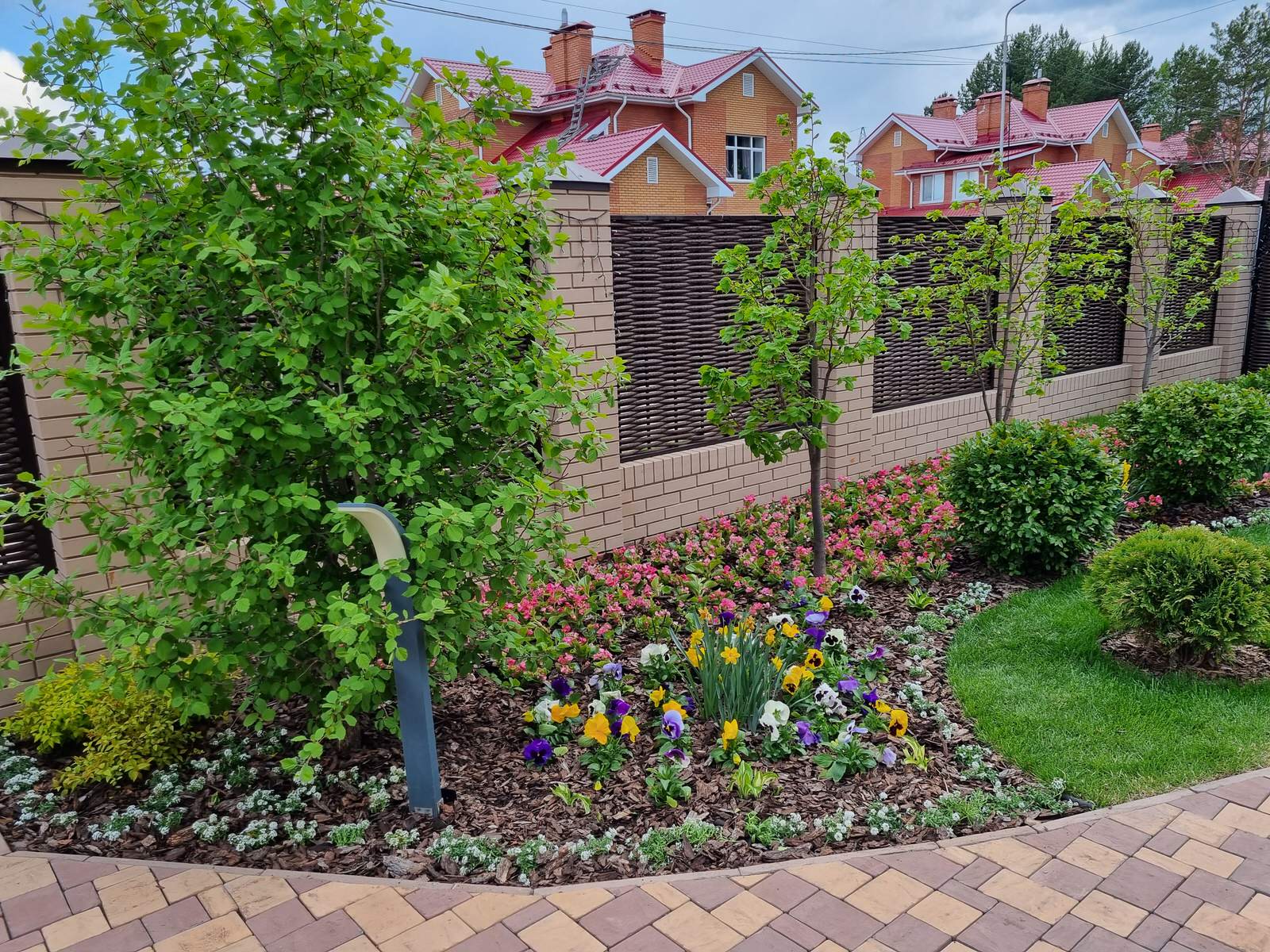 Серебрянный бор - 3