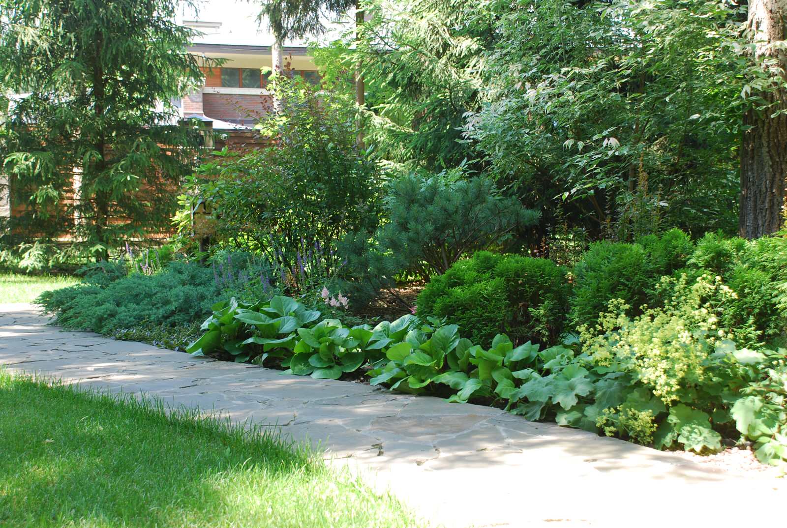 Лесной участок в КП "РИИТА"