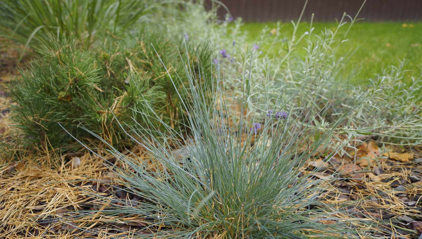 Летняя квартира (п. Удельная)