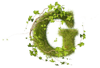 Виталий Гринев