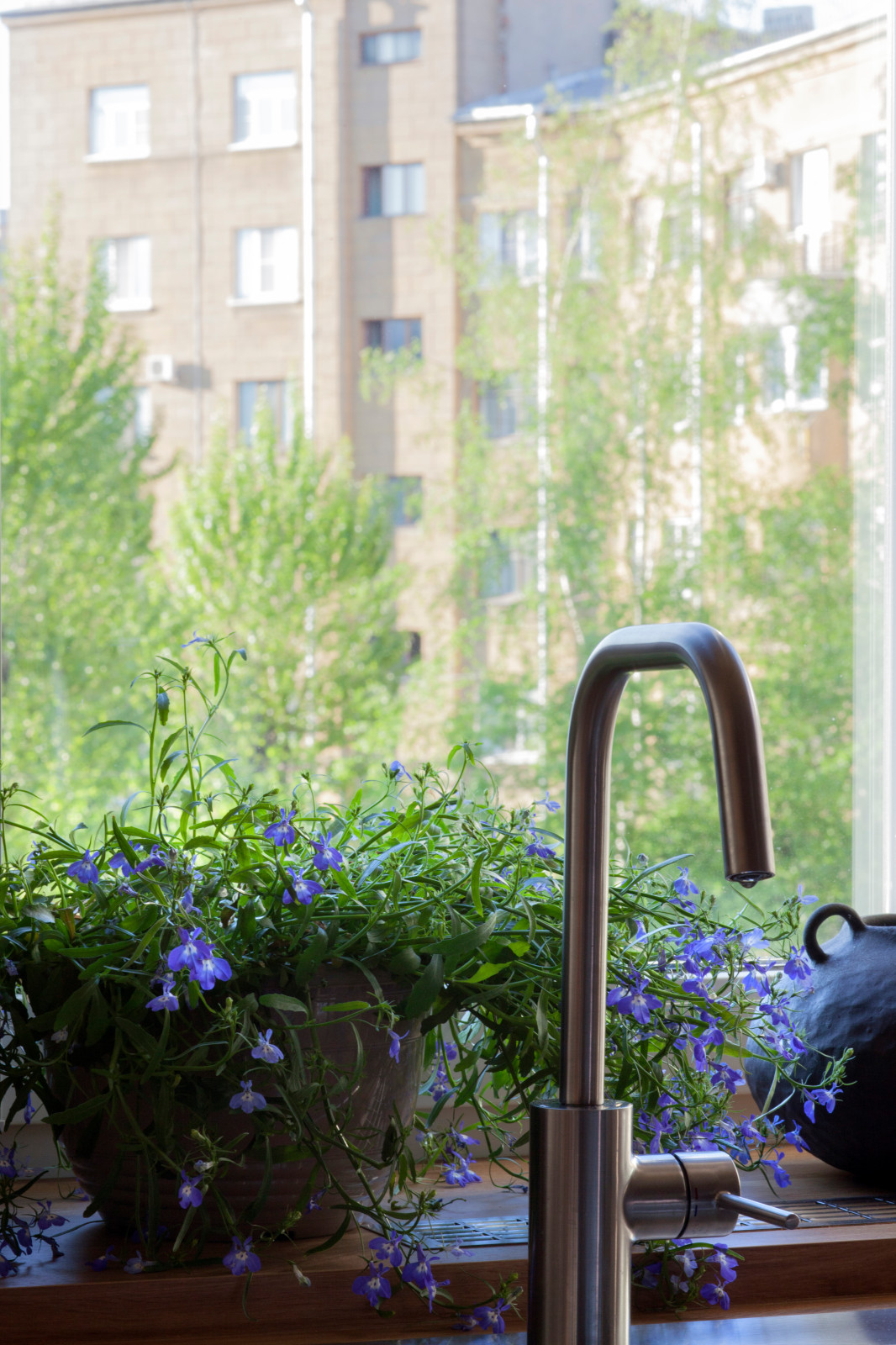 Студия "Кофе с молоком"