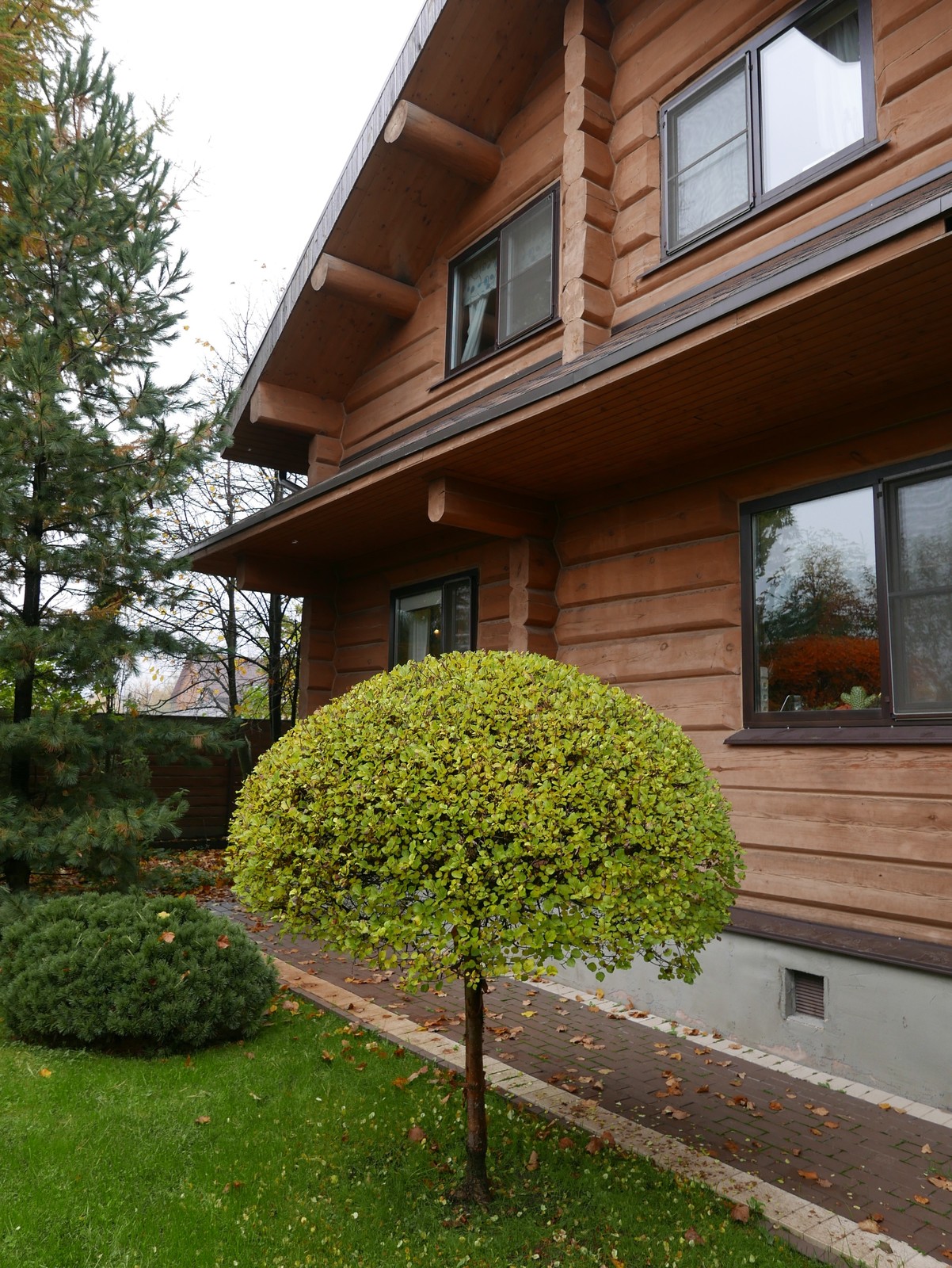 Буйство красочных форм в осеннем саду