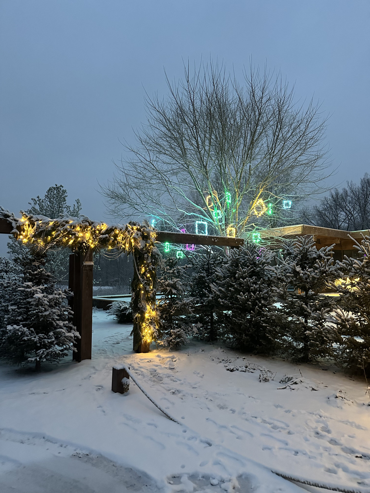 Новогоднее украшение сада