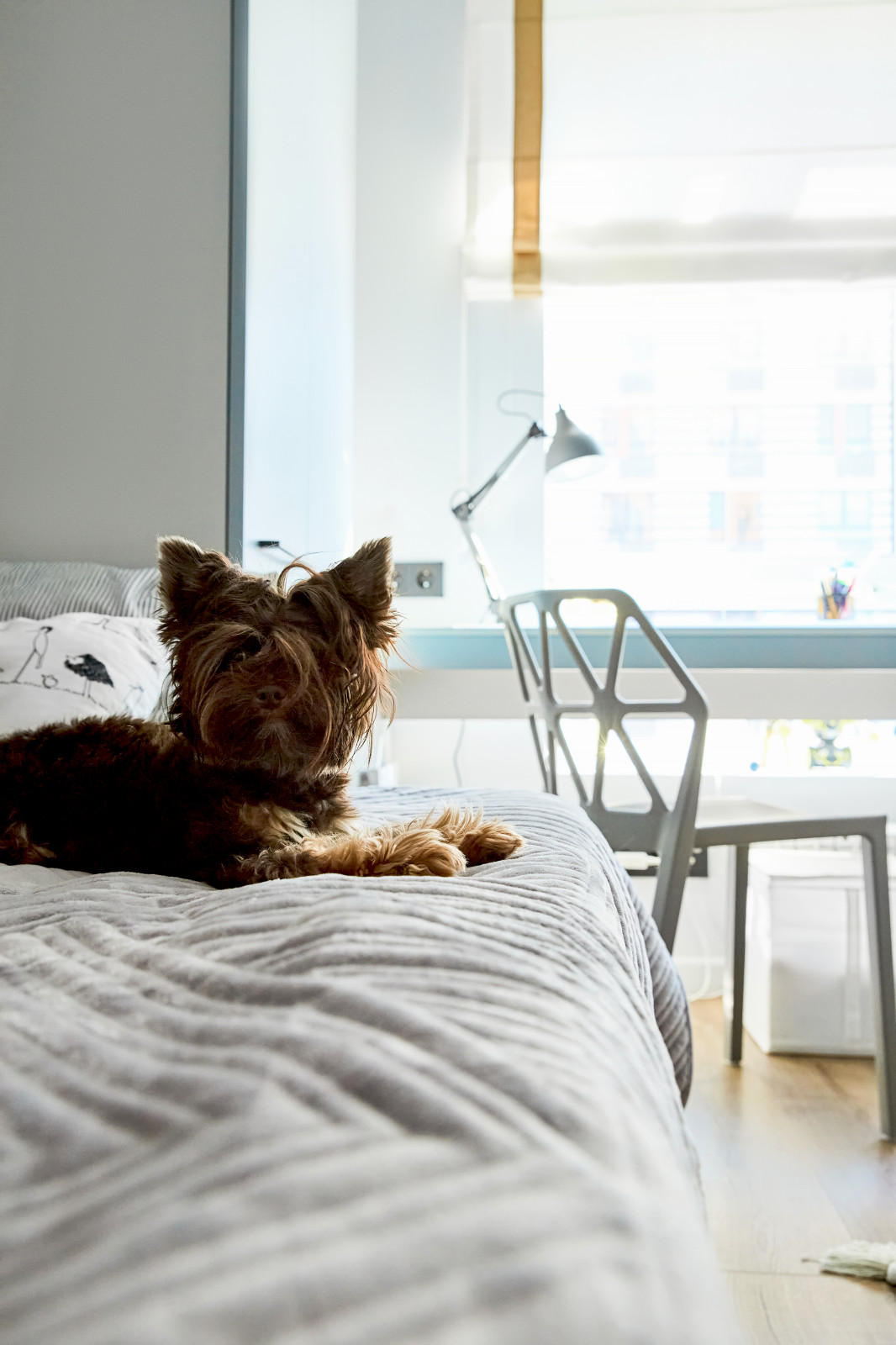 Квартира от ПИК, которую мы полностью переделали