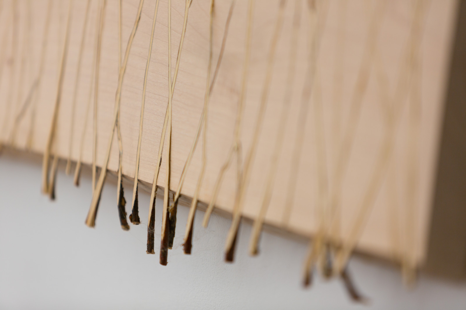 bureau RYNTOVTDESIGN