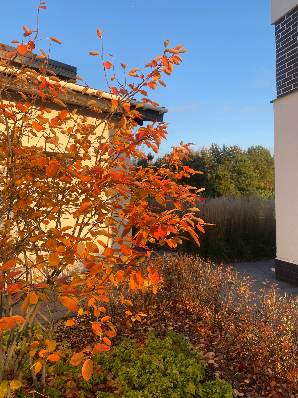 Коттеджный поселок "Высокий берег"