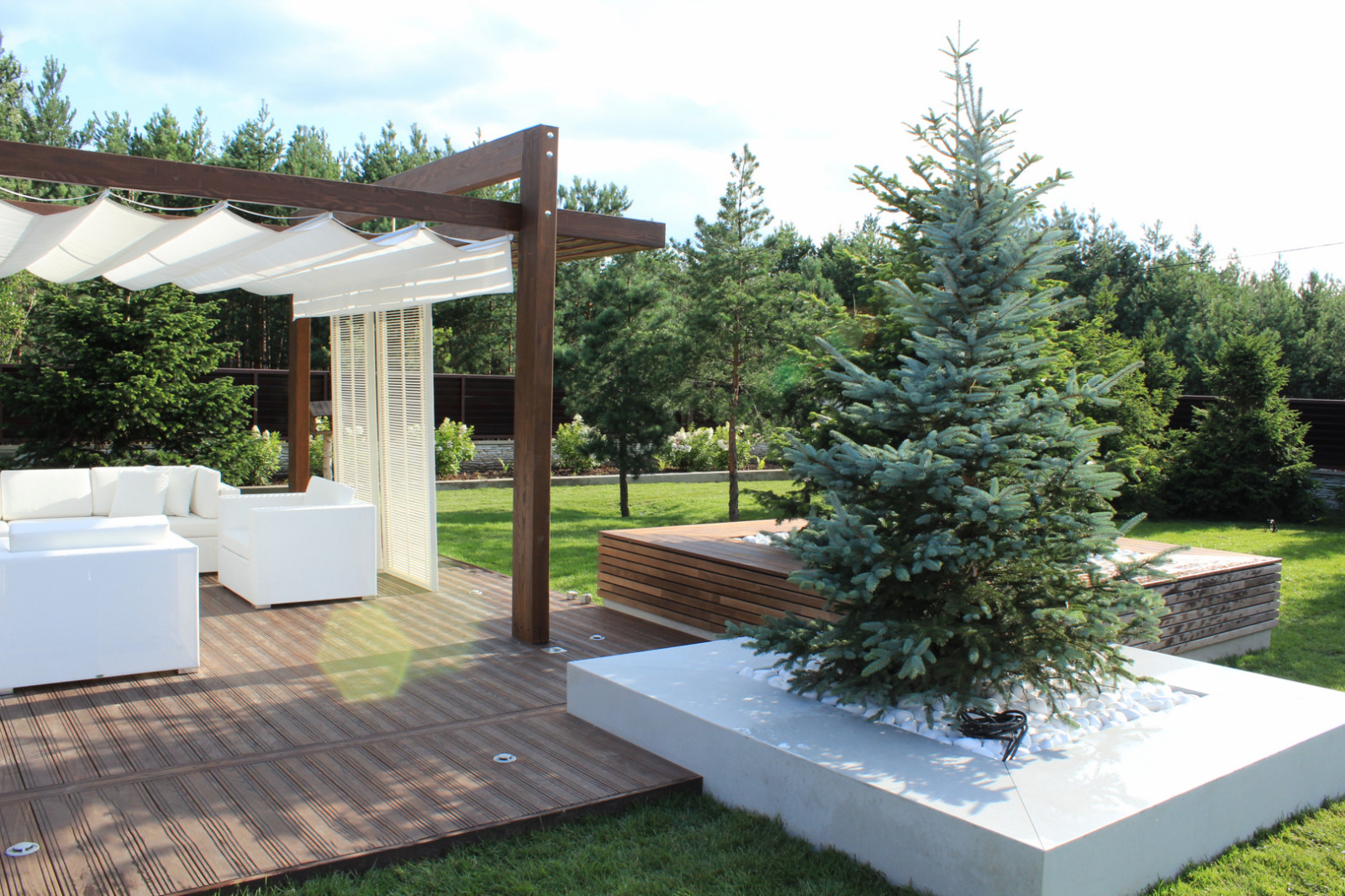 Черноголовка