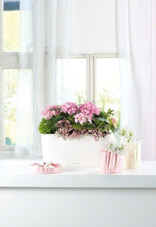 Шик на небольшой площади