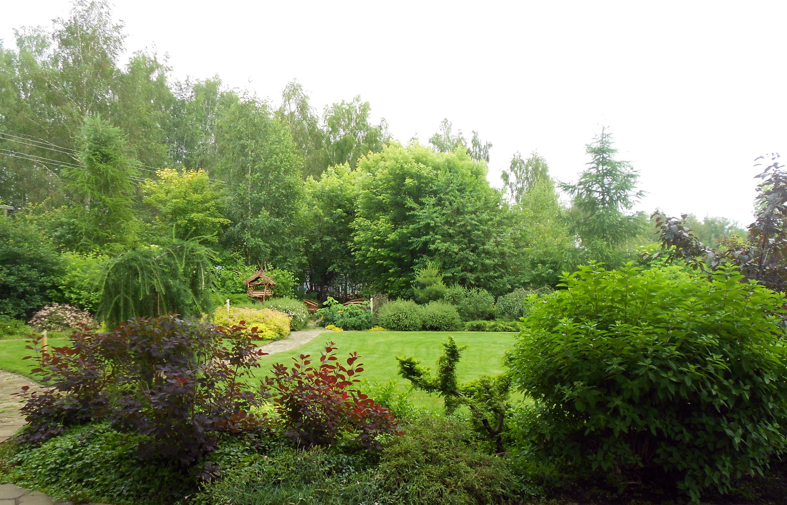 Летний пейзаж