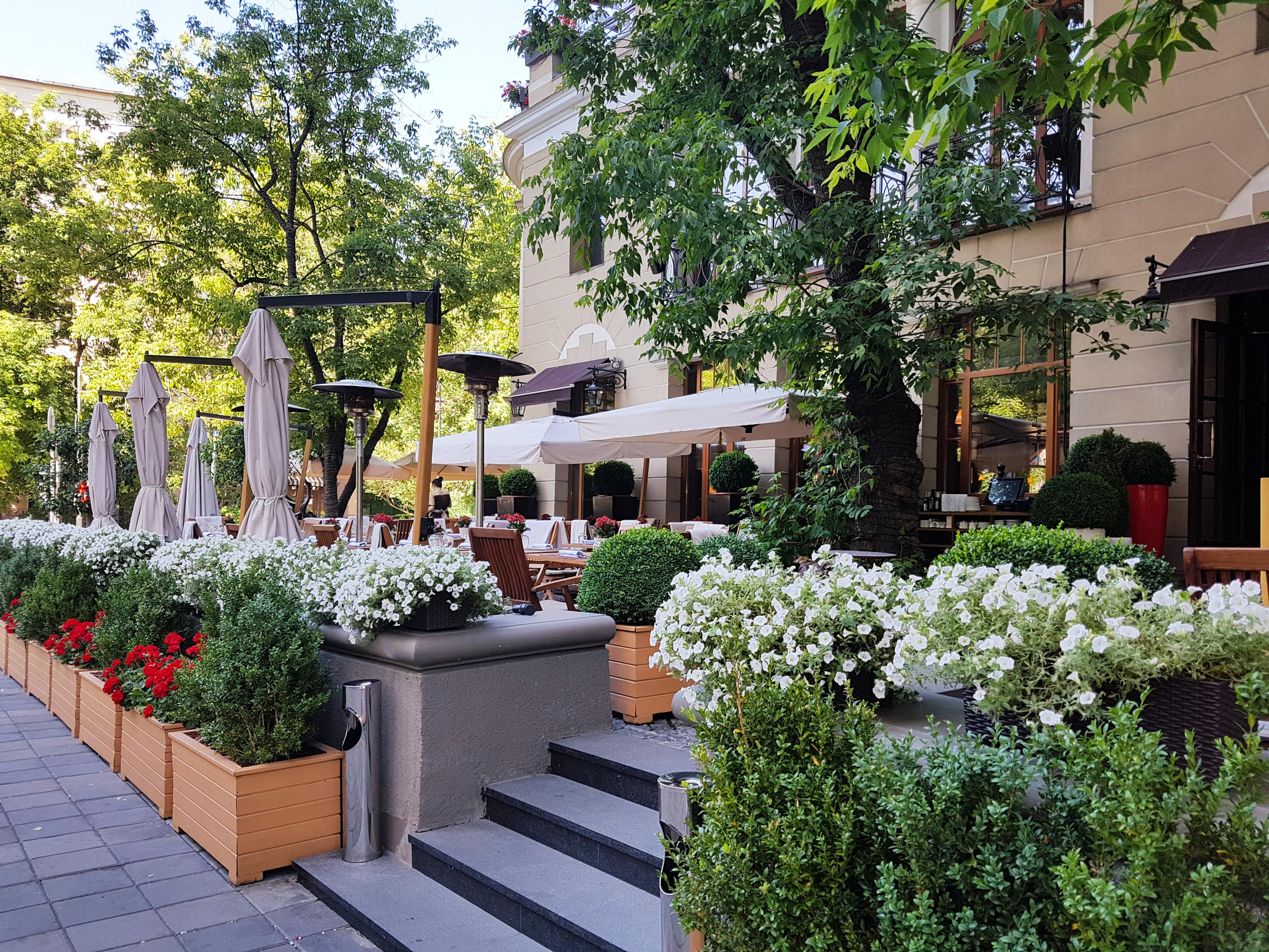 ресторан Аист на Малой Бронной