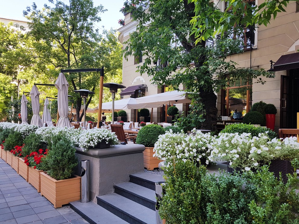 ресторан Аист на Малой Бронной