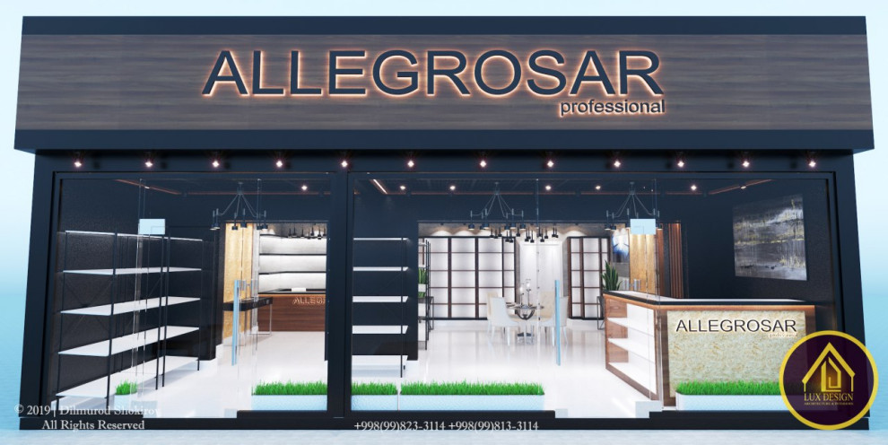 Обложка проекта: Allegrosar