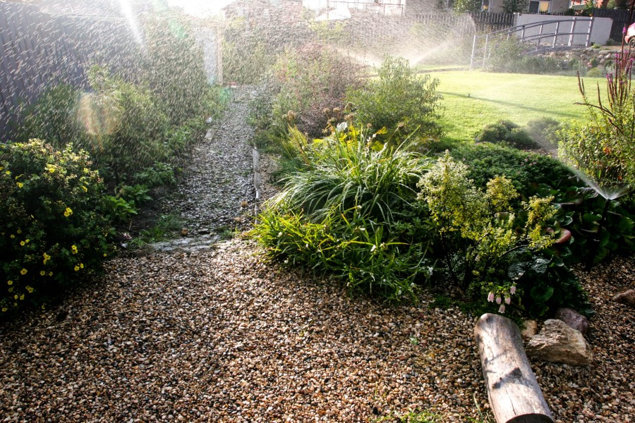 Полив в саду. Подмосковье.