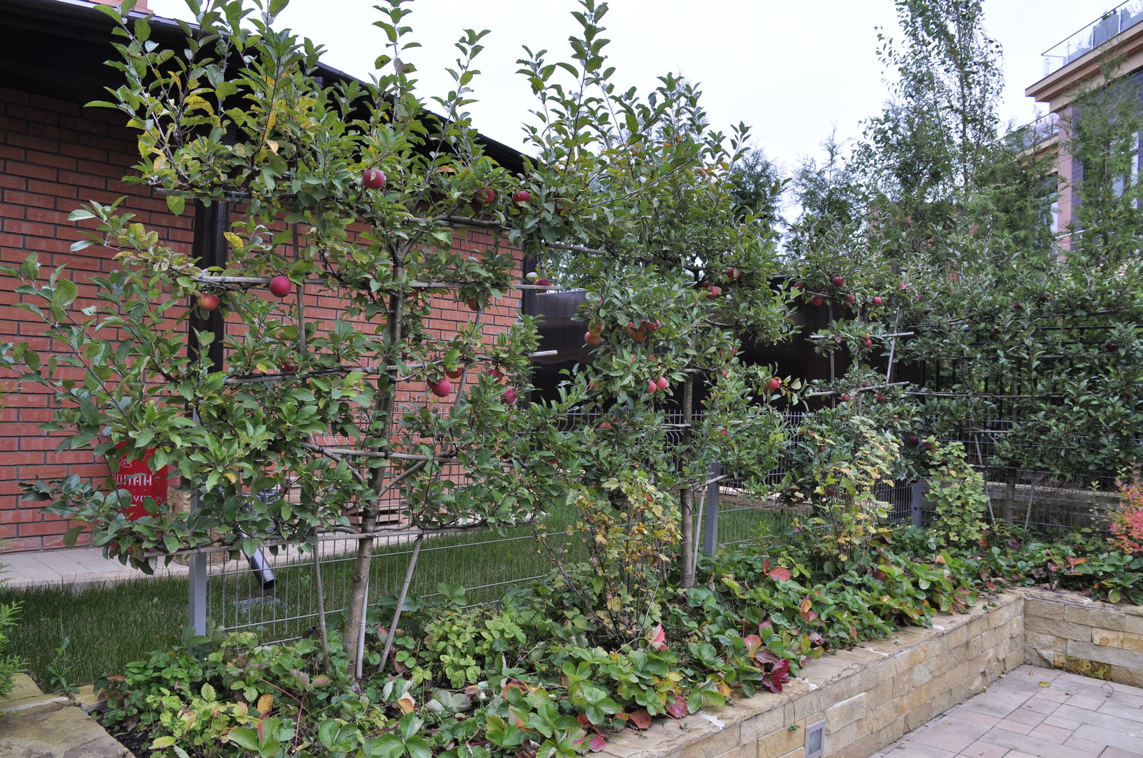 кп "Фортопс" - Профессиональный уход за садом - 100% качество!