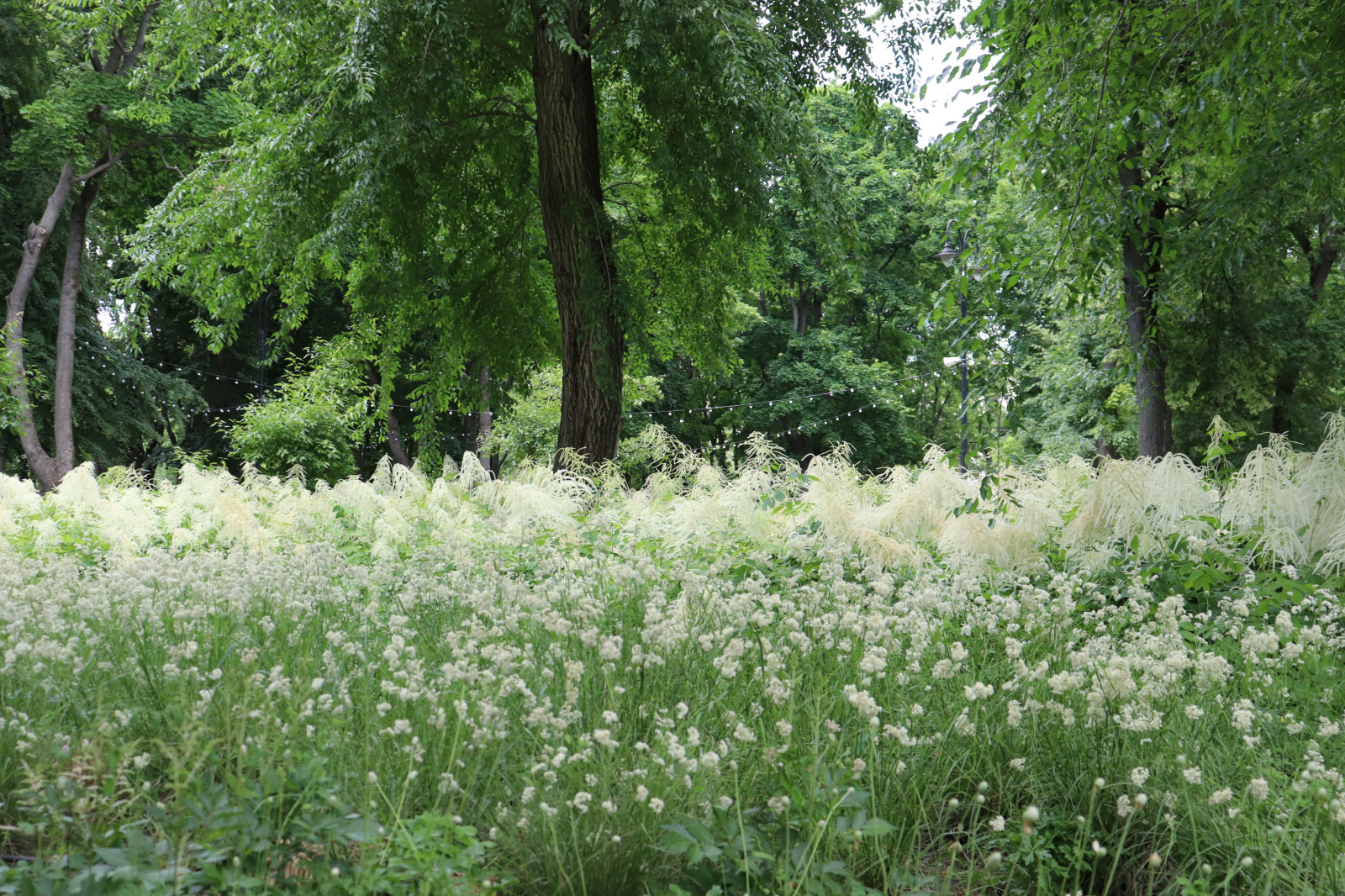 Парк Орленок