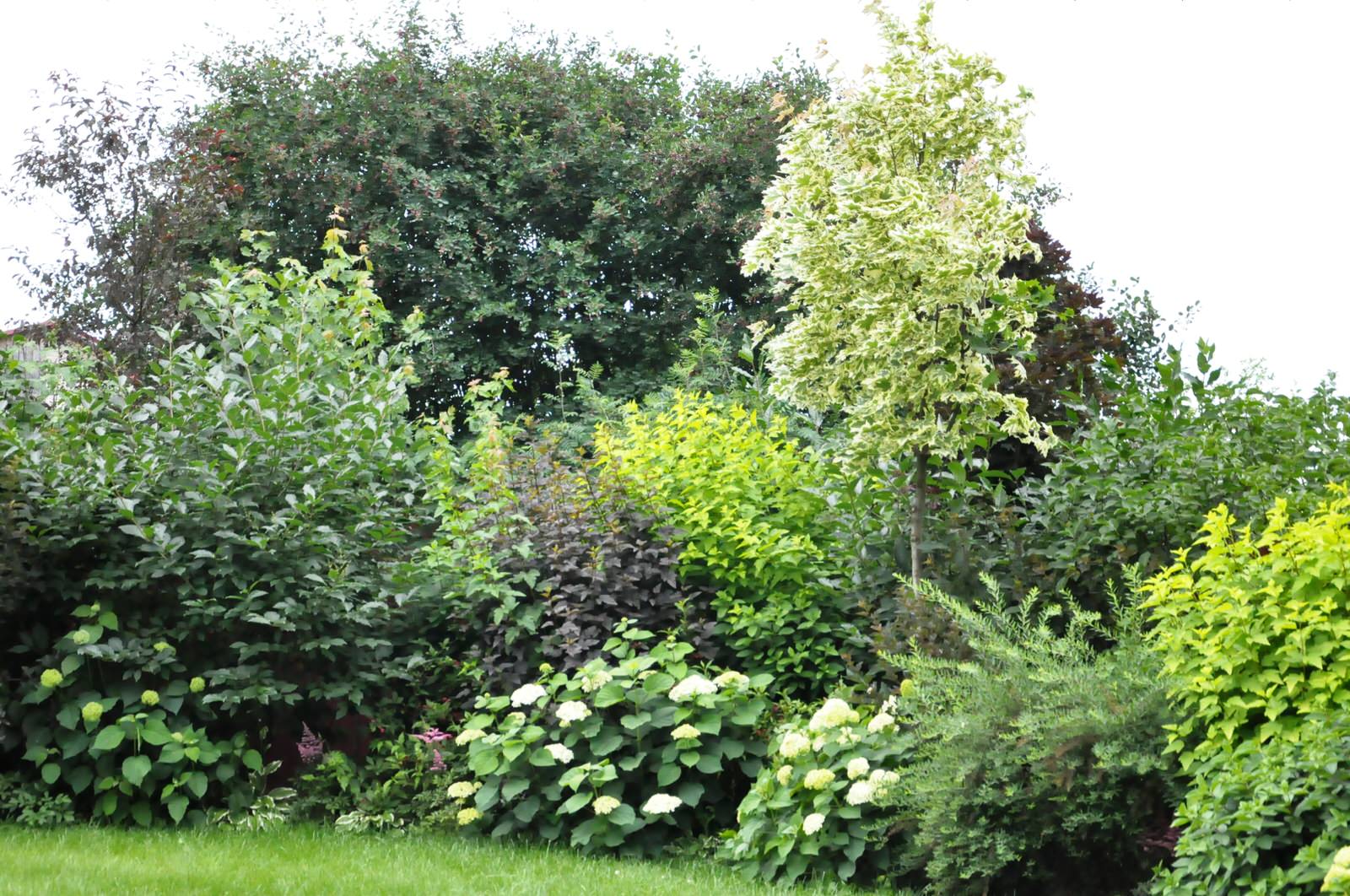 д. Громково - Уход за садом - 100% качество