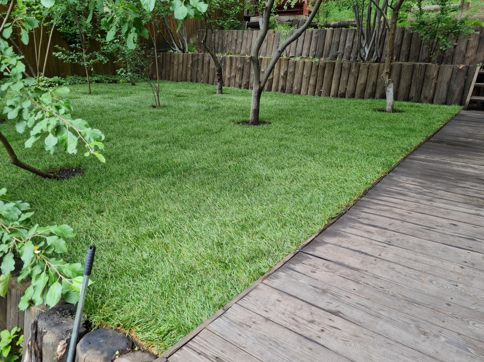 Рулонный газон Красноярск