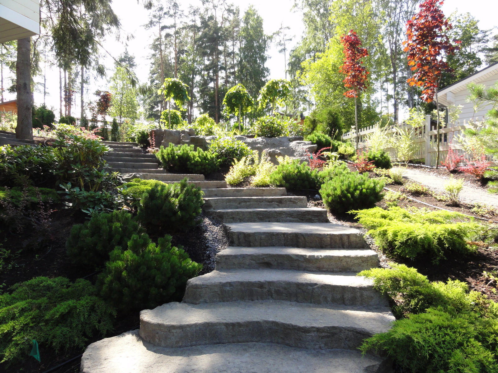 Обложка проекта: на глиняной горе